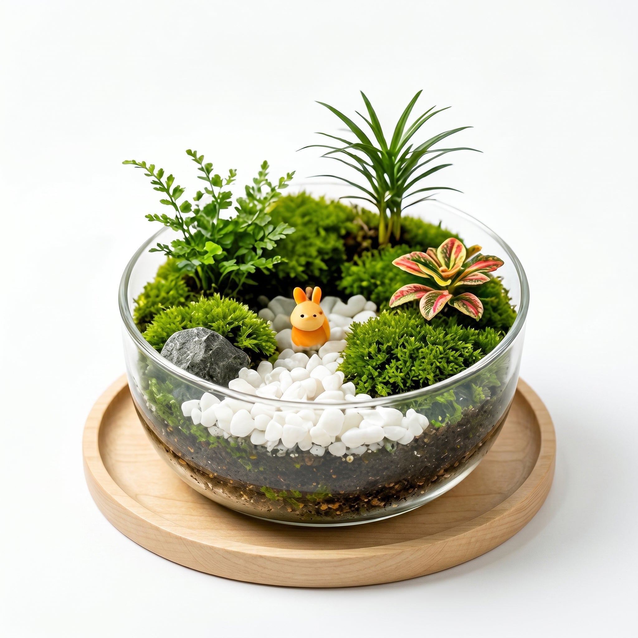 Forest Friend Glass Terrarium