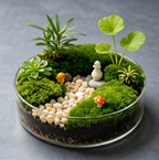 Mushroom Garden Glass Terrarium