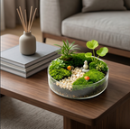 Mushroom Garden Glass Terrarium
