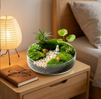 Mushroom Garden Glass Terrarium