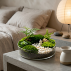 Serene Pebble Path Glass Terrarium