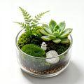 Succulent Moss Garden Terrarium