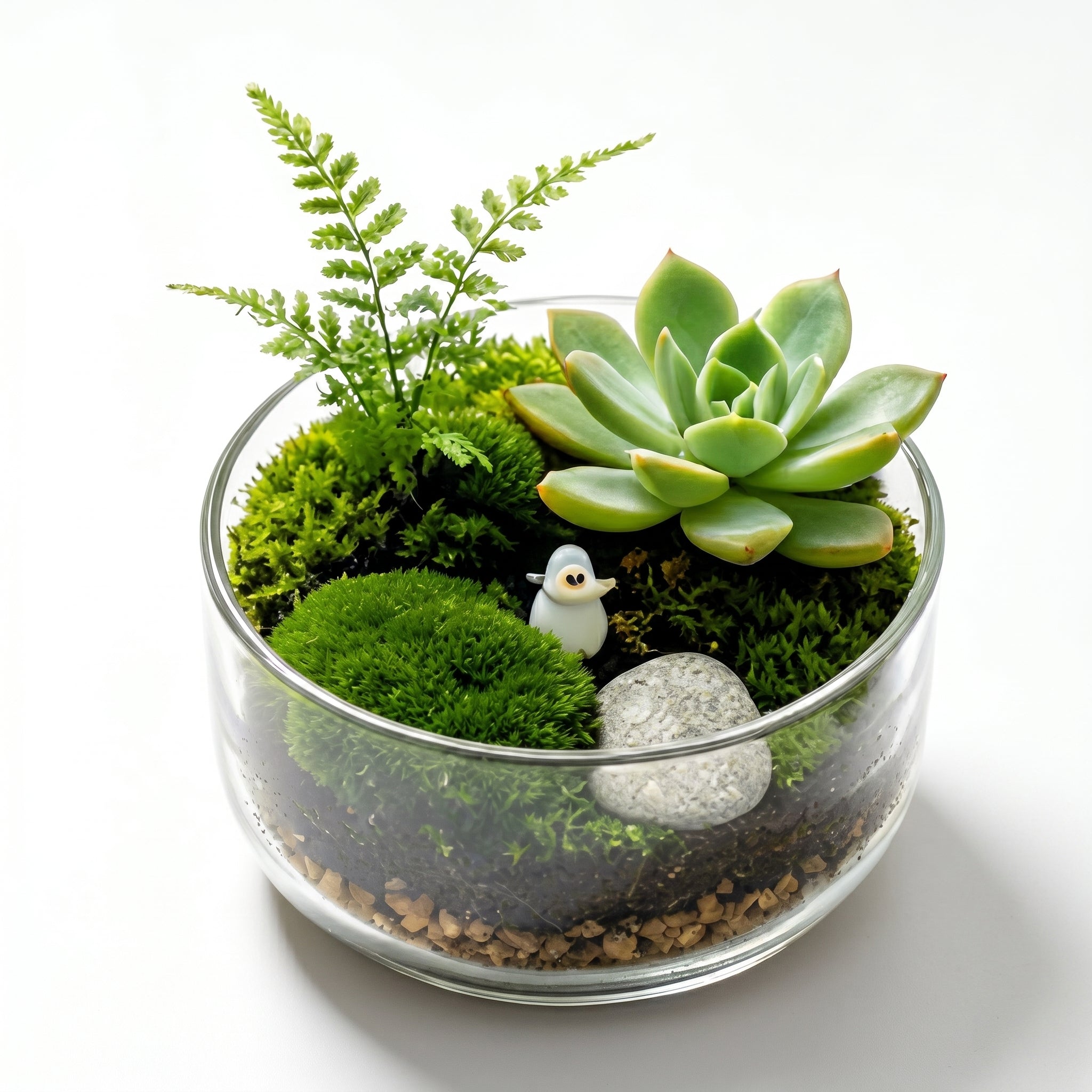 Succulent Moss Garden Terrarium