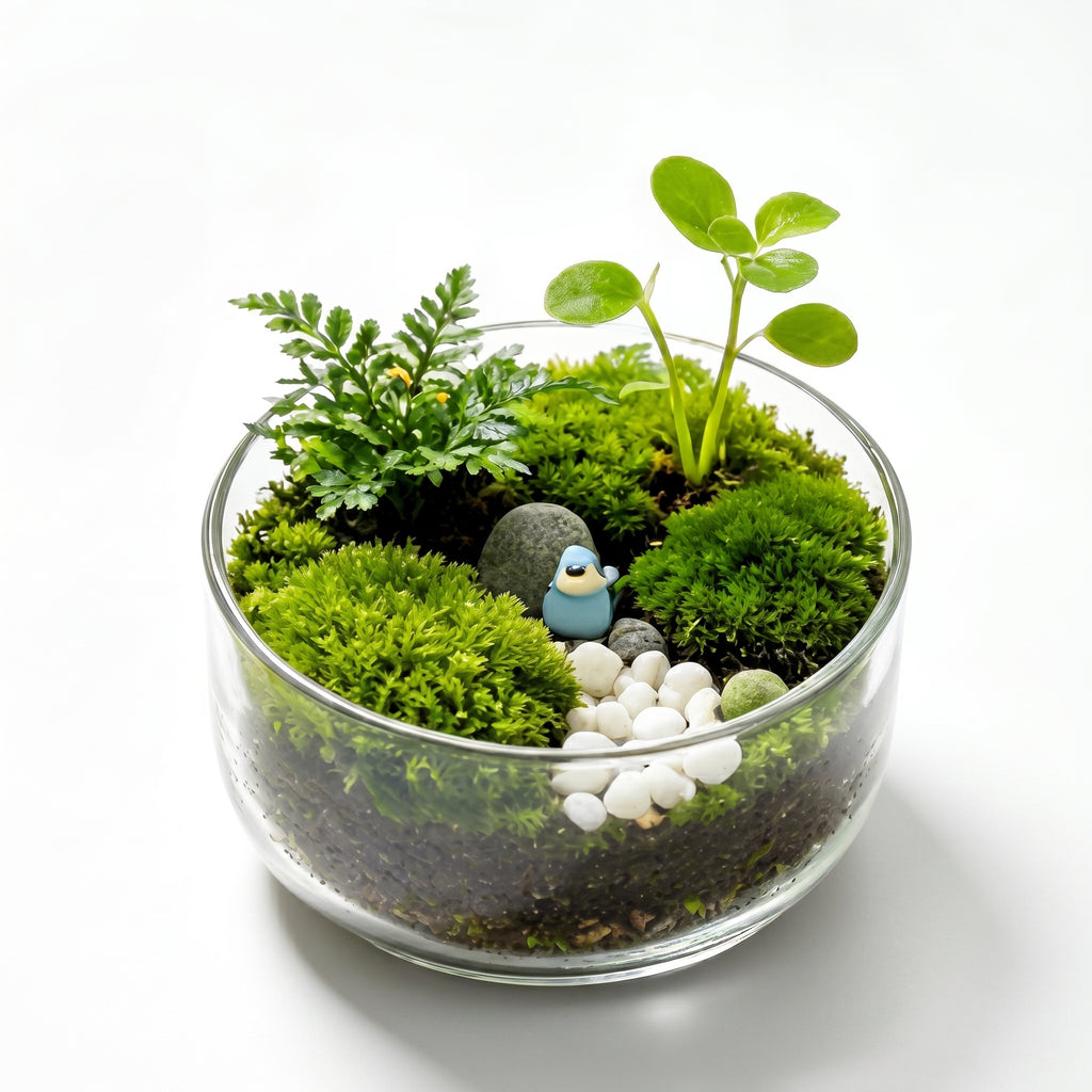 Minimalist Forest Grove Terrarium