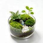 Minimalist Forest Grove Terrarium