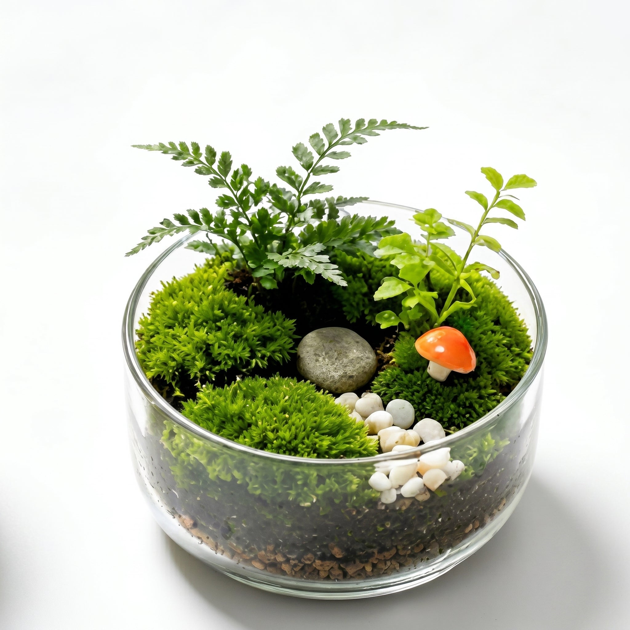 Forest Floor Mushroom Terrarium