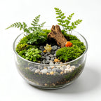 Forest Woodland Glass Terrarium