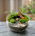 Forest Woodland Glass Terrarium