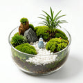 Enchanted Woodland Glass Terrarium