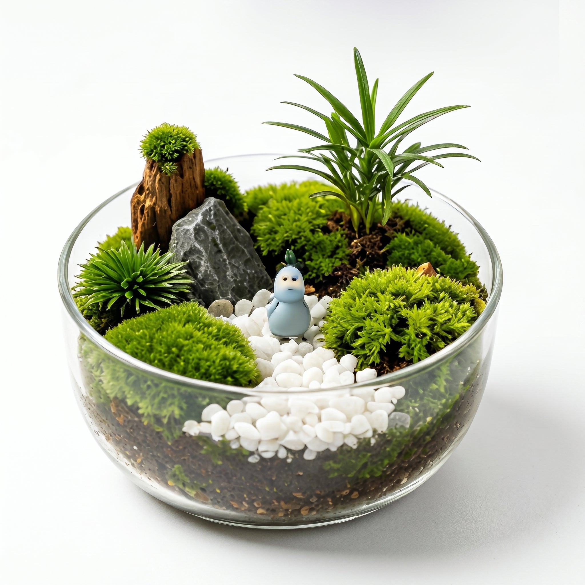 Enchanted Woodland Glass Terrarium