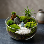 Enchanted Woodland Glass Terrarium